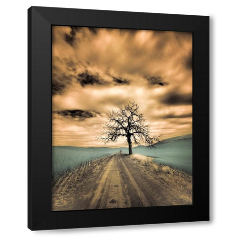 USA-Washington State-Palouse Infrared of lone tree along side country road Black Modern Wood Framed Art Print by Eggers, Terry