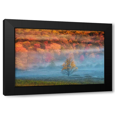 WV, Davis Misty valley and forest in Autumn Black Modern Wood Framed Art Print by OBrien, Jay
