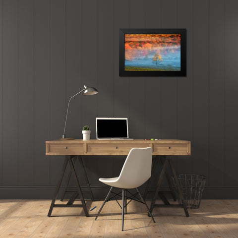 WV, Davis Mist and forest in autumn color Black Modern Wood Framed Art Print by OBrien, Jay