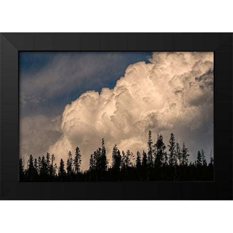 Trees silhouetted against cumulus cloud-Yellowstone National Park-Wyoming Black Modern Wood Framed Art Print by Jones, Adam