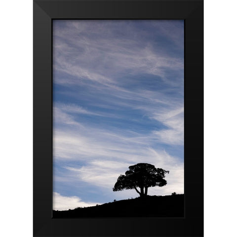 Single tree silhouetted at sunrise-Yellowstone National Park-Wyoming Black Modern Wood Framed Art Print by Jones, Adam