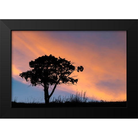 Single tree silhouetted at sunrise-Yellowstone National Park-Wyoming Black Modern Wood Framed Art Print by Jones, Adam