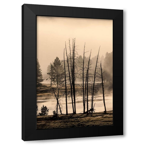 Dead trees near geothermal feature-Yellowstone National Park-Wyoming Black Modern Wood Framed Art Print by Jones, Adam