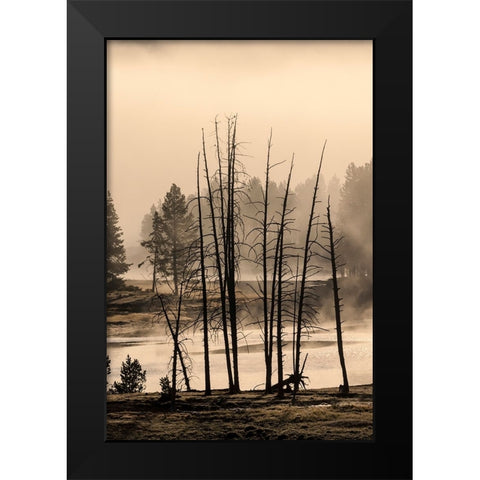 Dead trees near geothermal feature-Yellowstone National Park-Wyoming Black Modern Wood Framed Art Print by Jones, Adam