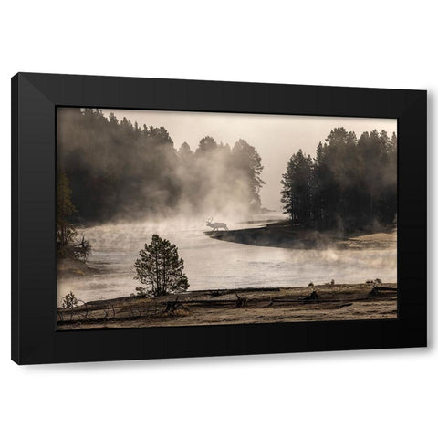 Morning mist on Yellowstone River-Yellowstone National Park-Wyoming Black Modern Wood Framed Art Print with Double Matting by Jones, Adam