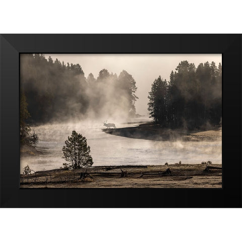 Morning mist on Yellowstone River-Yellowstone National Park-Wyoming Black Modern Wood Framed Art Print by Jones, Adam
