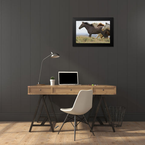 USA, Wyoming, Carbon County Wild horses running Black Modern Wood Framed Art Print by Illg, Cathy and Gordon