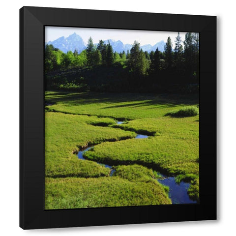 WY, Grand Tetons above a lush meadow Black Modern Wood Framed Art Print with Double Matting by Talbot Frank, Christopher