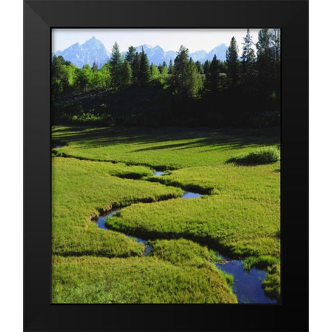 WY, Grand Tetons above a lush meadow Black Modern Wood Framed Art Print by Talbot Frank, Christopher