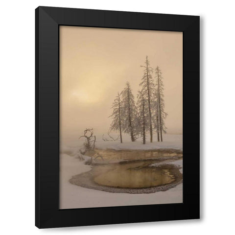 USA, Wyoming, Yellowstone NP Foggy winter scenic Black Modern Wood Framed Art Print with Double Matting by Illg, Cathy and Gordon