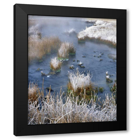 Wyoming, Yellowstone NP Frost along White Creek Black Modern Wood Framed Art Print with Double Matting by Terrill, Steve