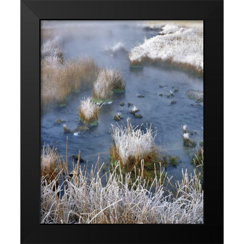 Wyoming, Yellowstone NP Frost along White Creek Black Modern Wood Framed Art Print by Terrill, Steve
