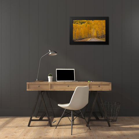USA-Wyoming-Grand Teton National Park Road through fall aspen trees Black Modern Wood Framed Art Print by Jaynes Gallery