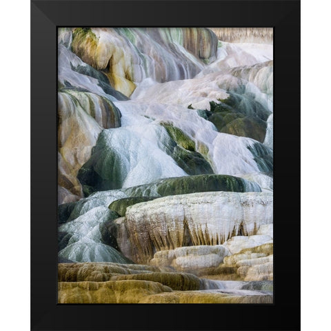 USA- Wyoming- Yellowstone National Park. Mammoth Hot Springs Black Modern Wood Framed Art Print by Gulin, Darrell