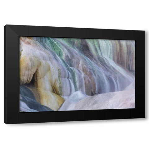 USA- Wyoming- Yellowstone National Park. Mammoth Hot Springs Black Modern Wood Framed Art Print by Gulin, Darrell