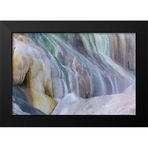 USA- Wyoming- Yellowstone National Park. Mammoth Hot Springs Black Modern Wood Framed Art Print by Gulin, Darrell