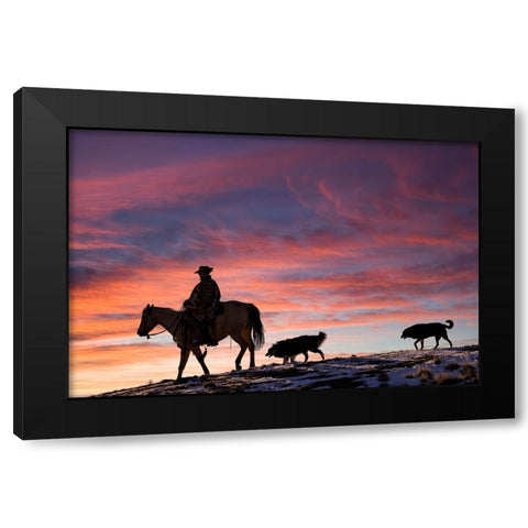 USA- Shell- Wyoming. Hideout Ranch cowgirl and her two dogs horseback riding at sunset. Black Modern Wood Framed Art Print by Gulin, Darrell