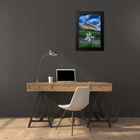 Columbine and small creek-Absaroka Mountains near Cody and Meeteetse-Wyoming-USA Black Modern Wood Framed Art Print by Garber, Howie