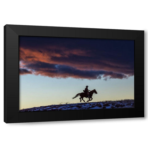USA- Wyoming. Hideout Horse Ranch- wrangler and horse at sunset. Black Modern Wood Framed Art Print with Double Matting by Looney, Hollice
