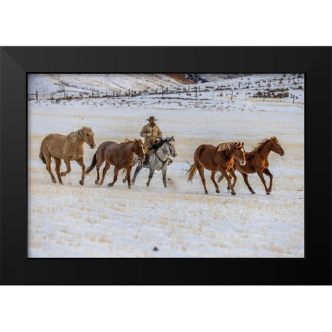 USA- Wyoming. Hideout Horse Ranch- wrangler and horses in snow. Black Modern Wood Framed Art Print by Looney, Hollice