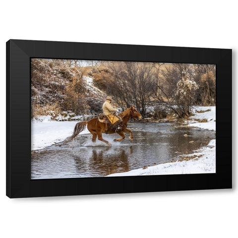 USA- Wyoming. Hideout Horse Ranch- wrangler crossing the stream on horseback. Black Modern Wood Framed Art Print with Double Matting by Looney, Hollice
