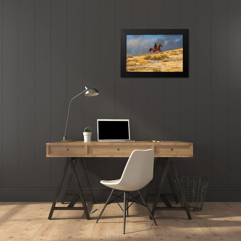 USA- Wyoming. Hideout Horse Ranch- wrangler on horseback in snow. Black Modern Wood Framed Art Print by Looney, Hollice