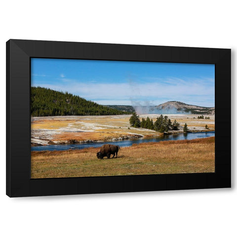 Yellowstone National Park-USA-Wyoming Buffalo and Old Faithful Black Modern Wood Framed Art Print with Double Matting by Sienda, Jolly