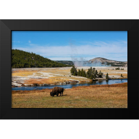 Yellowstone National Park-USA-Wyoming Buffalo and Old Faithful Black Modern Wood Framed Art Print by Sienda, Jolly