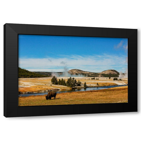 Yellowstone National Park-USA-Bison-buffalo-Steam-Old Faithful-Yellowstone River Black Modern Wood Framed Art Print with Double Matting by Sienda, Jolly