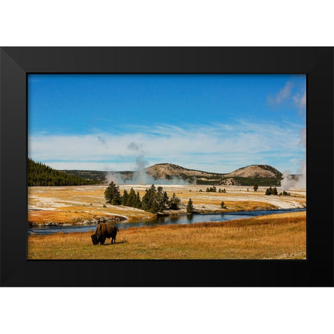 Yellowstone National Park-USA-Bison-buffalo-Steam-Old Faithful-Yellowstone River Black Modern Wood Framed Art Print by Sienda, Jolly