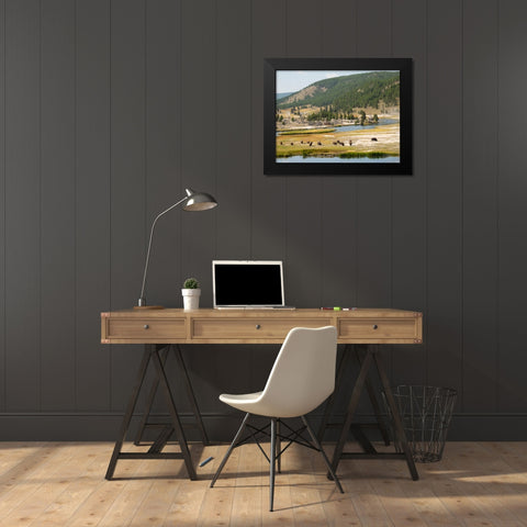 Wyoming- Yellowstone National Park. Bison herd and Firehole River Black Modern Wood Framed Art Print by Wild, Jamie and Judy