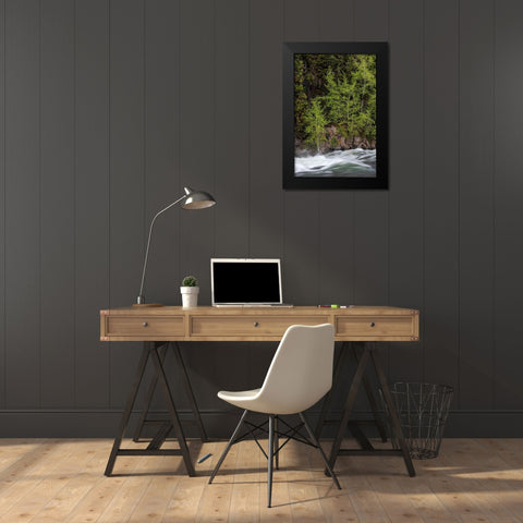 Wyoming Budding trees-La Grange Cascade-Yellowstone National Park Black Modern Wood Framed Art Print by Zimmerman, Judith