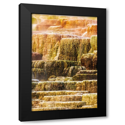 Travertine terraces at Minerva Spring-Mammoth Hot Springs-Yellowstone National Park-Wyoming-USA Black Modern Wood Framed Art Print with Double Matting by Bishop, Russ