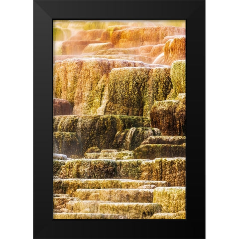 Travertine terraces at Minerva Spring-Mammoth Hot Springs-Yellowstone National Park-Wyoming-USA Black Modern Wood Framed Art Print by Bishop, Russ