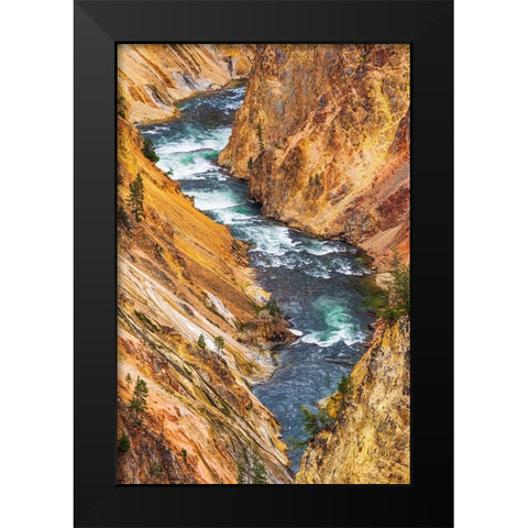 The Yellowstone River in the Grand Canyon of the Yellowstone-Yellowstone National Park-Wyoming-USA Black Modern Wood Framed Art Print by Bishop, Russ