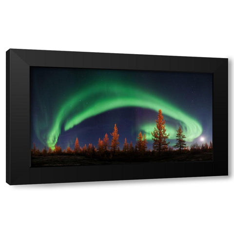 Northern Lights Black Modern Wood Framed Art Print by Snegirev, Andrey