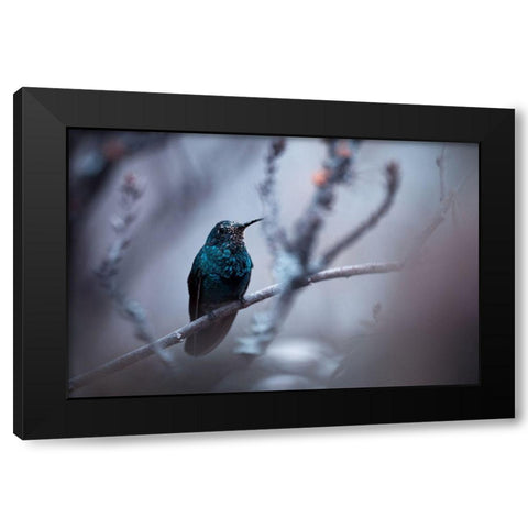 Electrical Blue Black Modern Wood Framed Art Print by Bravin, Fabien