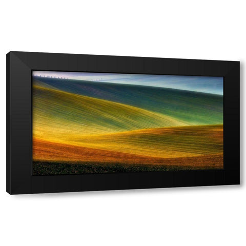 Spring Fields Black Modern Wood Framed Art Print by Krol, Piotr