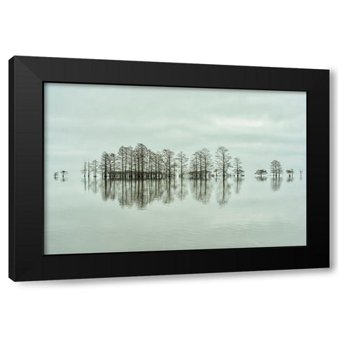 Lake-Shore Lineup Beauty Black Modern Wood Framed Art Print by Yu, Liyun