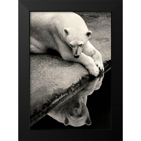 Who Is That Beauty In The Water Black Modern Wood Framed Art Print by Wallberg, Allan