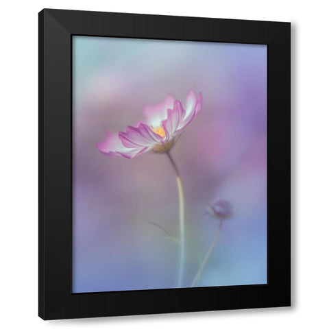Pink Elegance Black Modern Wood Framed Art Print by Koumura, Miyako