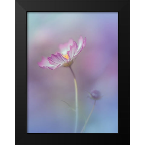 Pink Elegance Black Modern Wood Framed Art Print by Koumura, Miyako