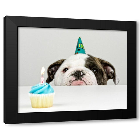 A Little Birthday Black Modern Wood Framed Art Print with Double Matting by Melnotte, Mike