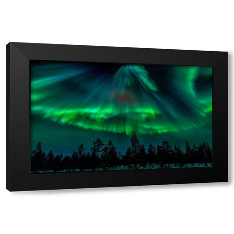 Northern Bell Black Modern Wood Framed Art Print by Schwartz, Yair