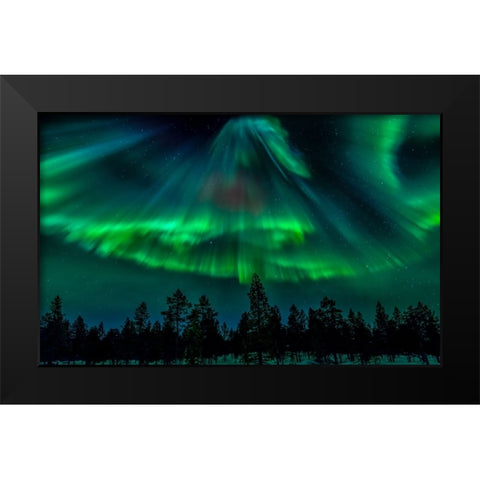Northern Bell Black Modern Wood Framed Art Print by Schwartz, Yair