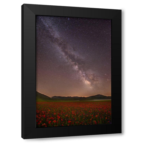 Red Meadows Black Modern Wood Framed Art Print by Marchegiani, Roberto