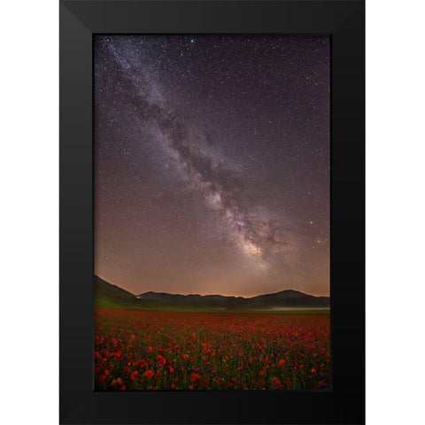 Red Meadows Black Modern Wood Framed Art Print by Marchegiani, Roberto
