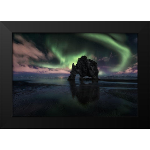 Rhino Black Modern Wood Framed Art Print by Martin Castan, David