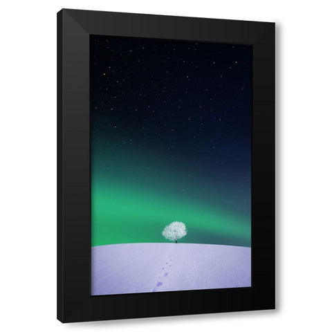 Apple Black Modern Wood Framed Art Print by Hamiti, Bess