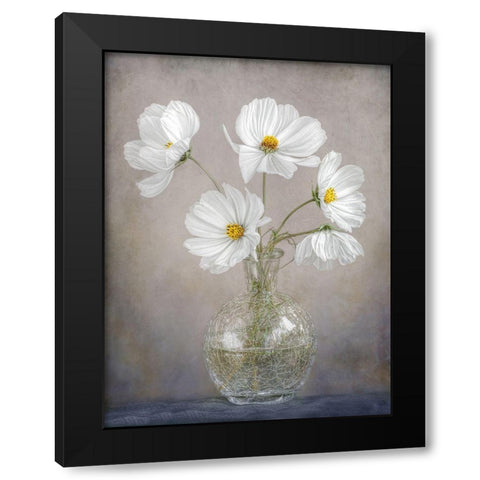 Simply Cosmos Black Modern Wood Framed Art Print with Double Matting by Disher, Mandy